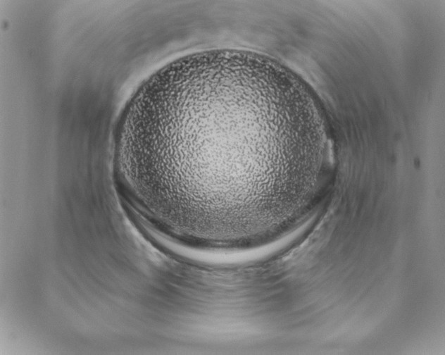X0000088841508200706071407