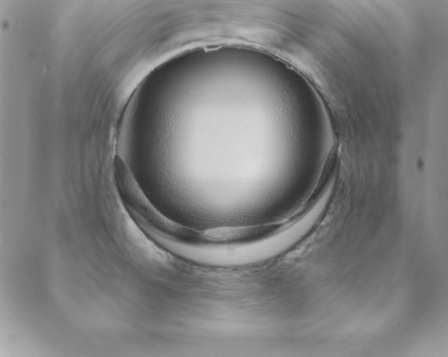 X0000088841524200706071407