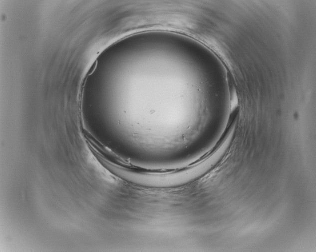 X0000088841532200706071407