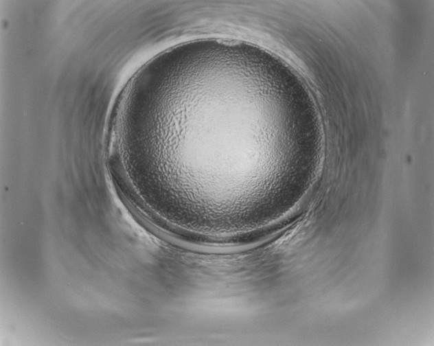 X0000088841536200706071407