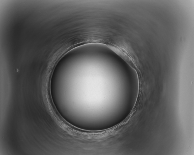 X0000088840001200706141547