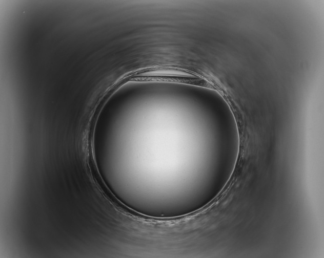 X0000088840002200706141547