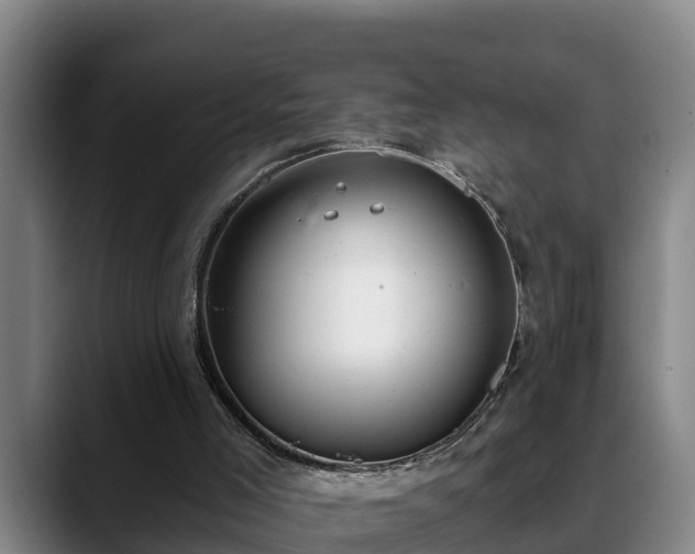 X0000088840005200706141547