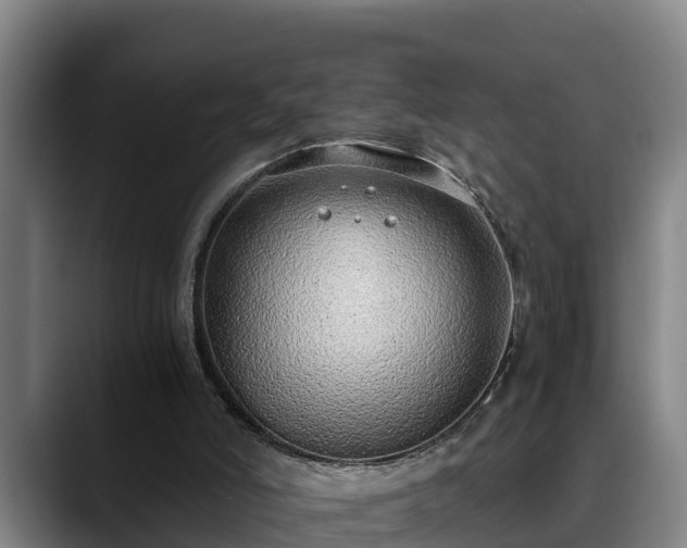 X0000088840006200706141547