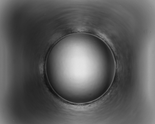 X0000088840010200706141547