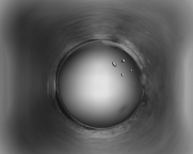 X0000088840011200706141547