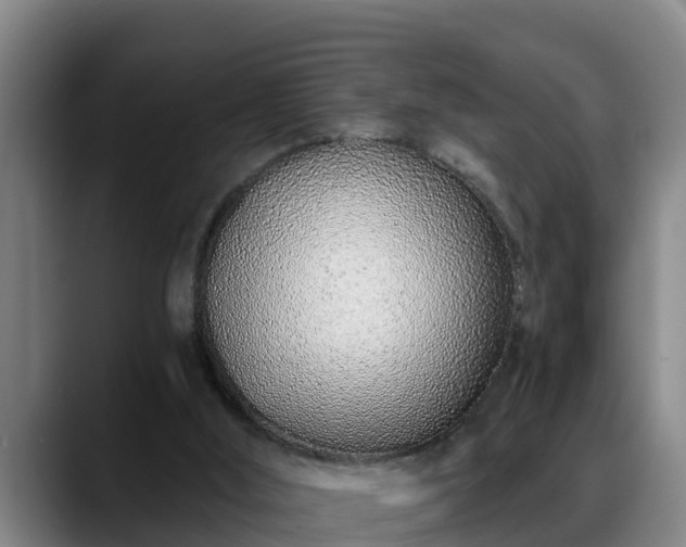 X0000088840012200706141547