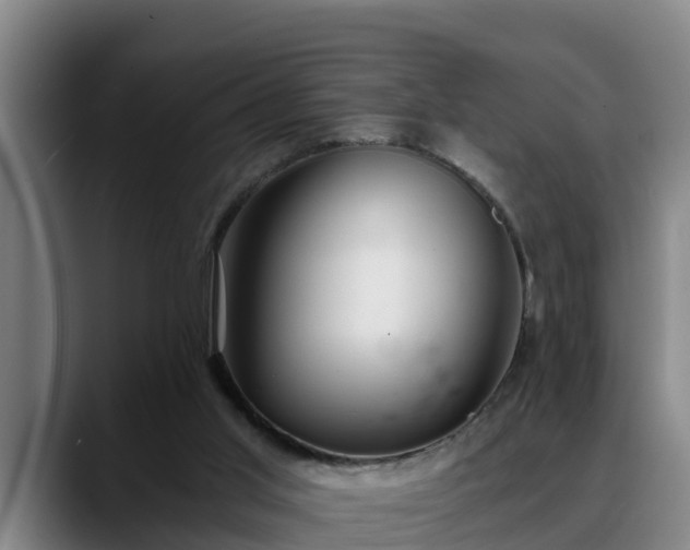 X0000088840013200706141547