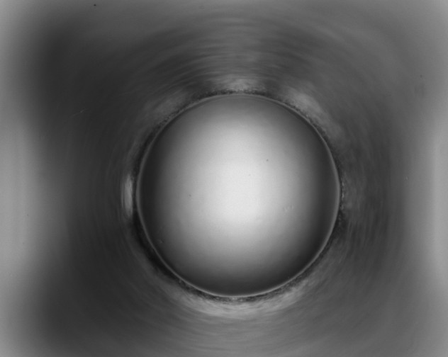 X0000088840014200706141547