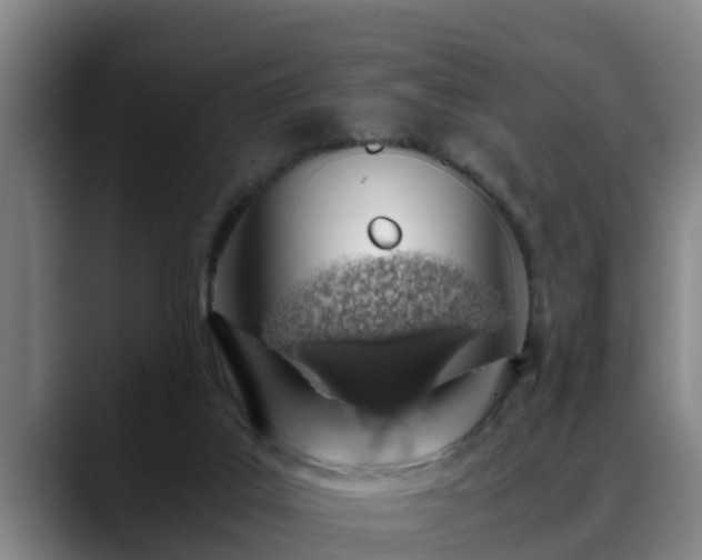 X0000088840019200706141547