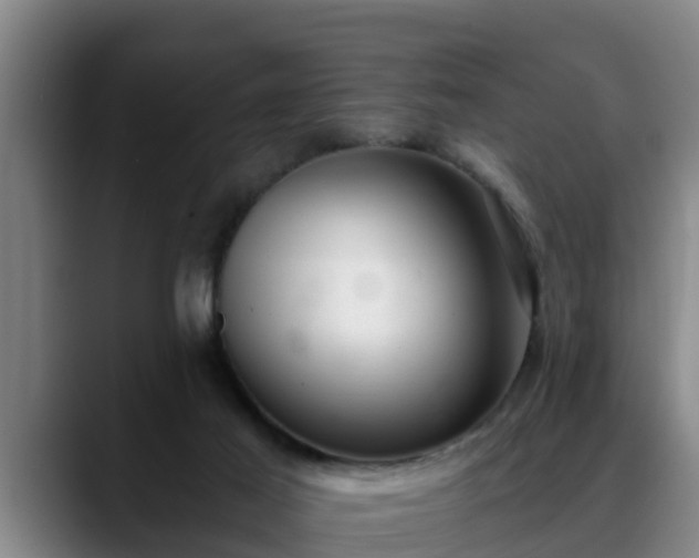 X0000088840021200706141547