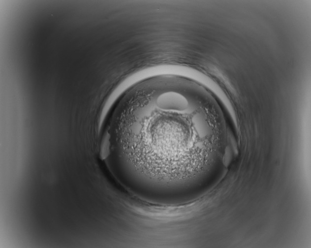 X0000088840023200706141547