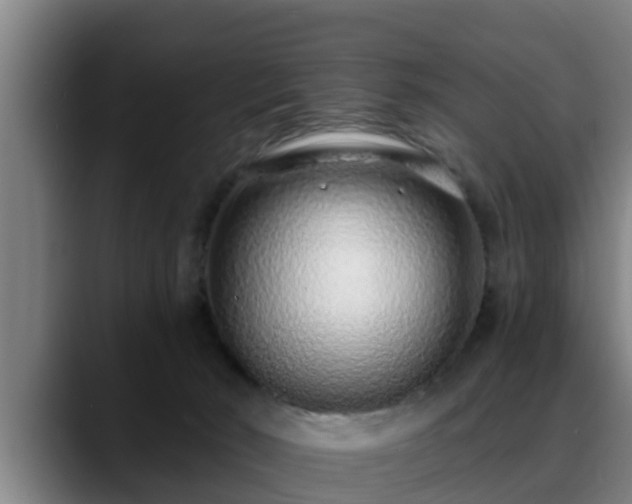 X0000088840030200706141546