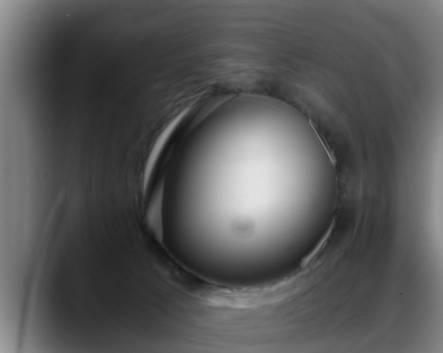 X0000088840033200706141546