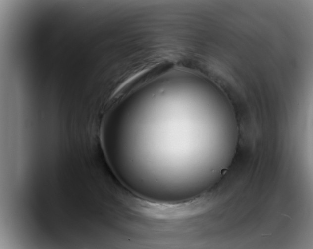 X0000088840034200706141546