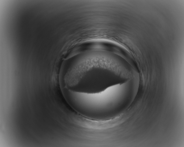 X0000088840035200706141546