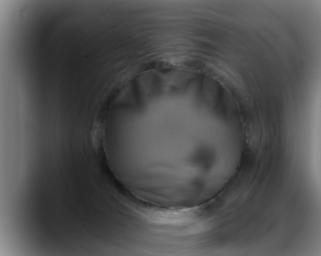 X0000088840036200706141546