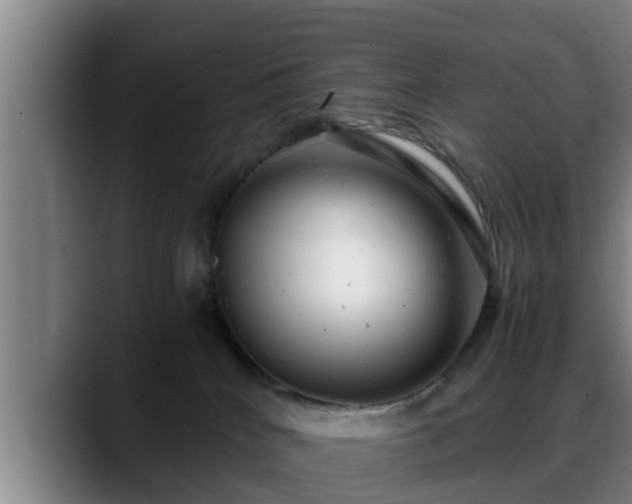 X0000088840040200706141546