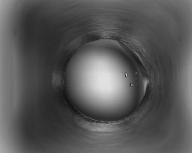 X0000088840044200706141546