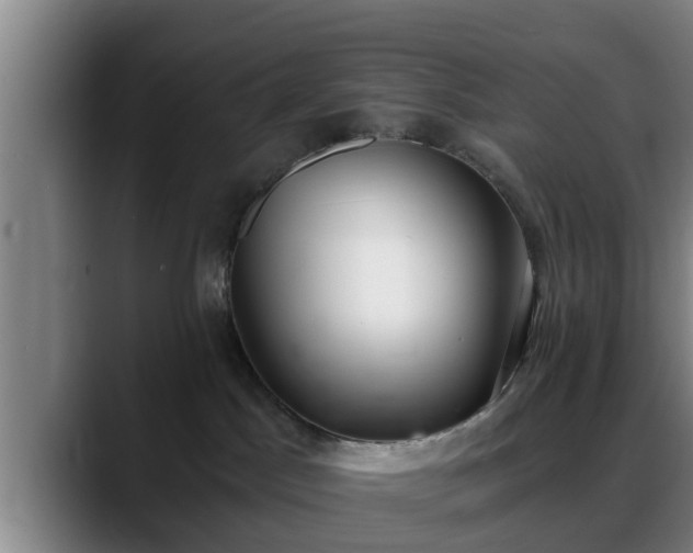 X0000088840045200706141546