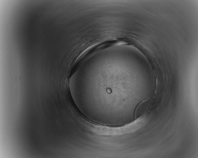 X0000088840048200706141546