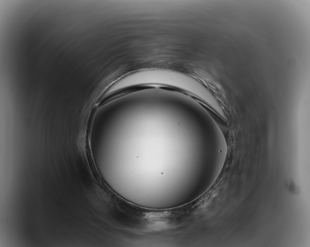 X0000088840051200706141546