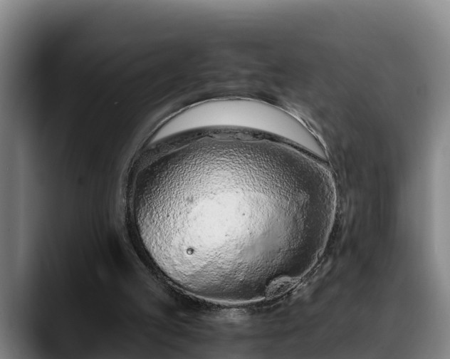 X0000088840053200706141546