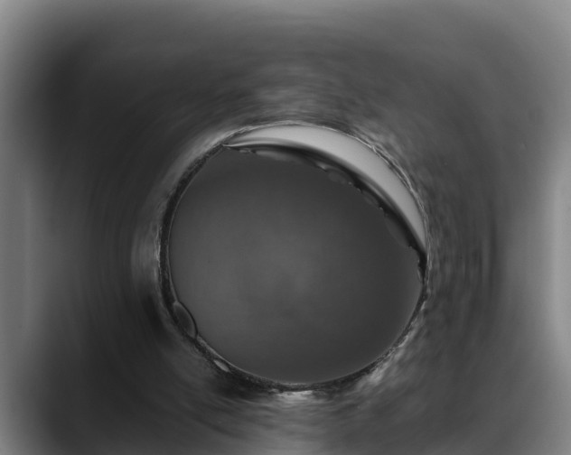 X0000088840054200706141546