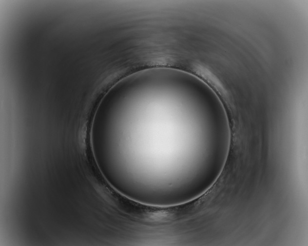 X0000088840058200706141546