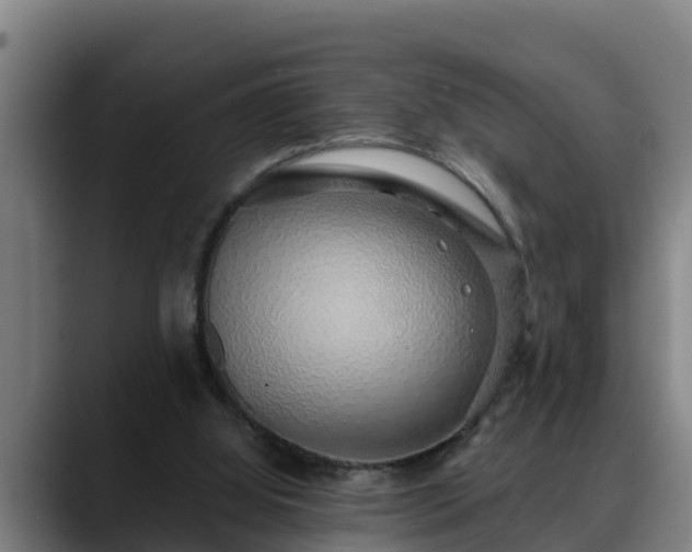 X0000088840060200706141546