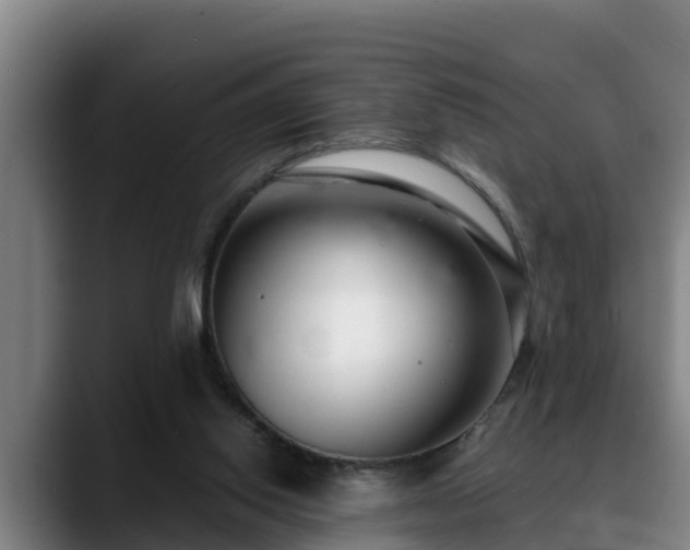 X0000088840062200706141546