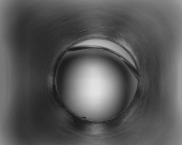 X0000088840063200706141546