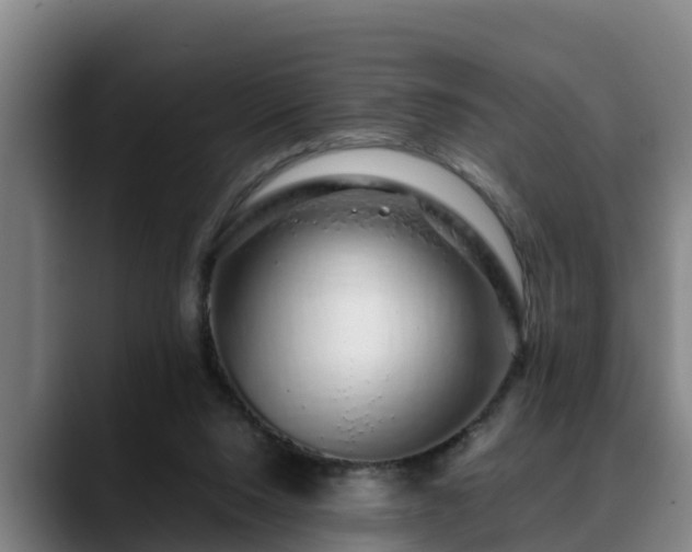 X0000088840064200706141546