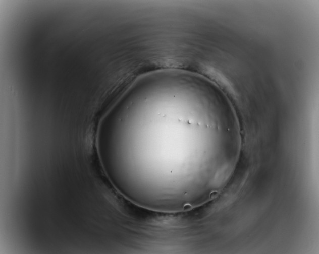 X0000088840065200706141546