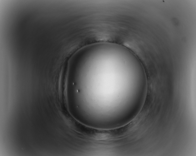 X0000088840066200706141546