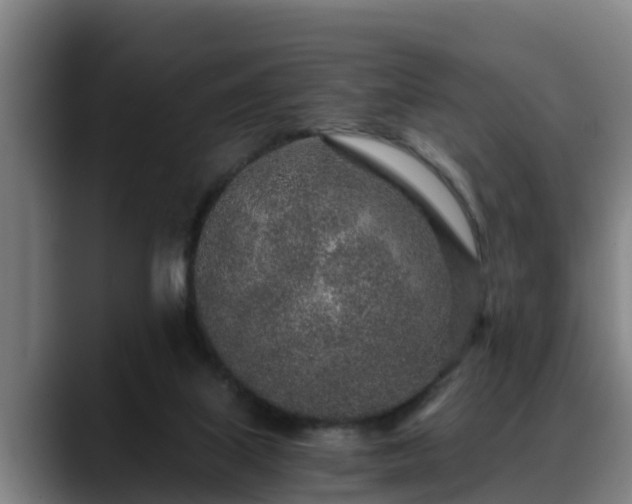 X0000088840067200706141546