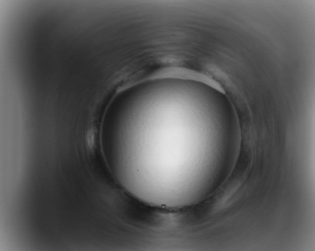 X0000088840071200706141546