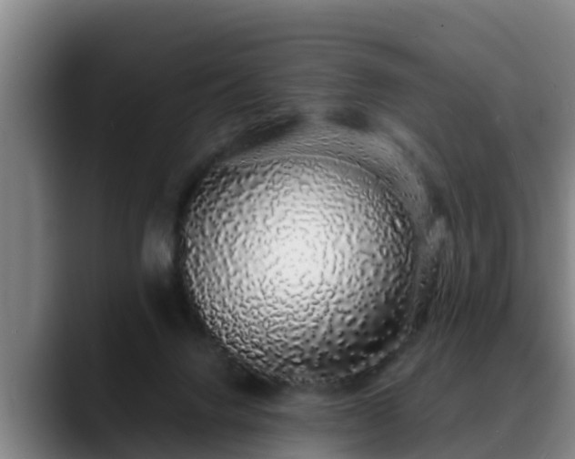 X0000088840072200706141546