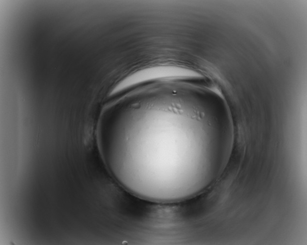 X0000088840073200706141546