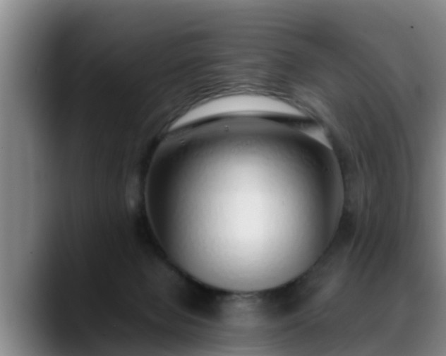 X0000088840077200706141546