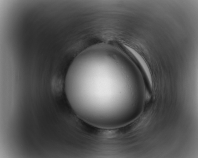 X0000088840081200706141546