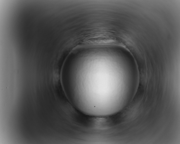 X0000088840085200706141546