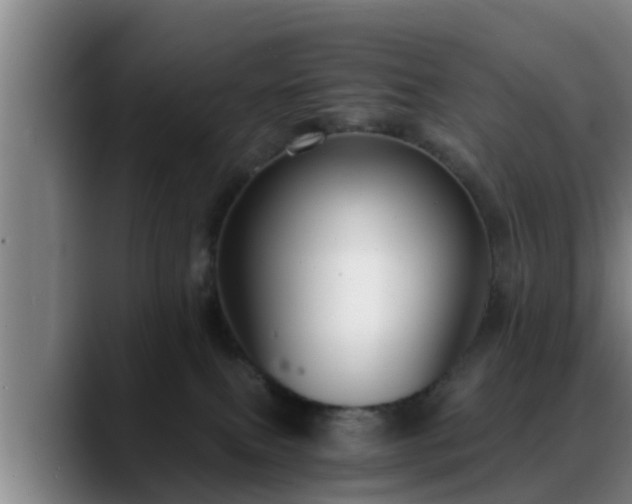 X0000088840087200706141546