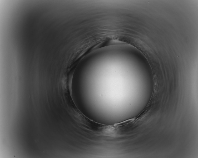 X0000088840096200706141546