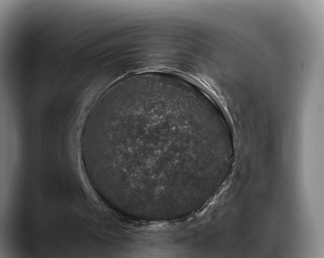 X0000088840097200706141546