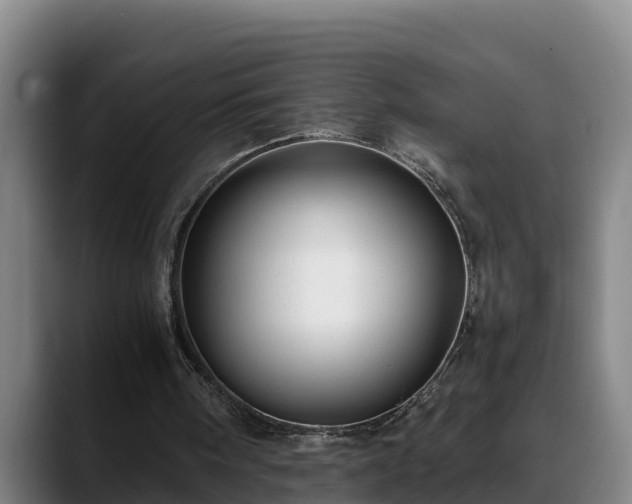 X0000088840098200706141546