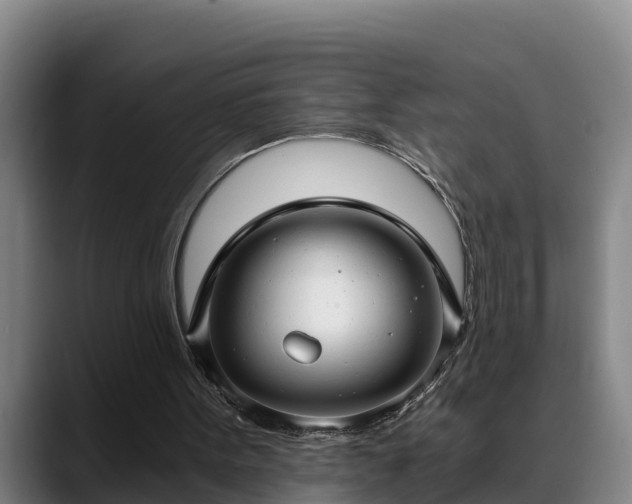 X0000088840099200706141546