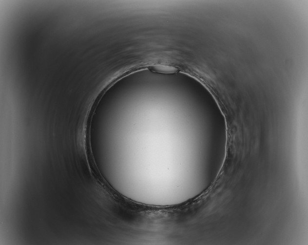 X0000088840100200706141546