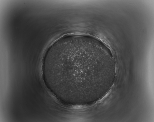 X0000088840101200706141546