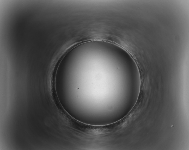 X0000088840103200706141546